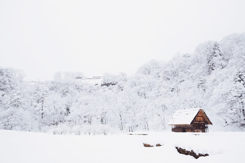 Winterizing Your Vacation Rental: Cold-Weather Prep for Arkansas, Missouri & Beyond